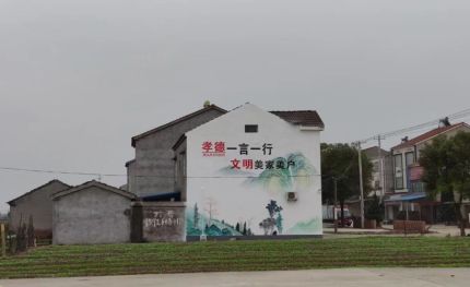 安岳新农村墙绘